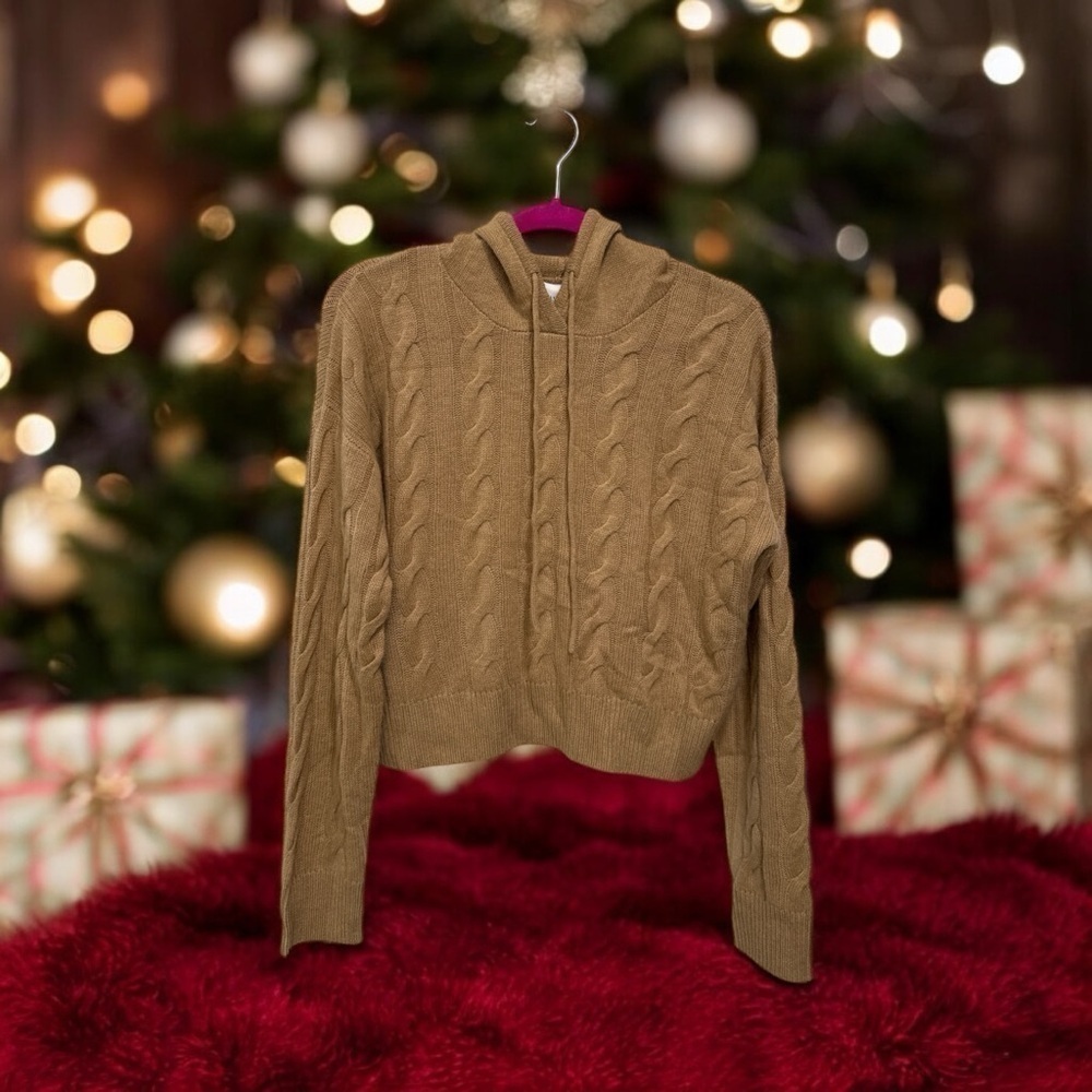 Lord & Taylor W. Cashmere Scout Cashmere Cable Knit Hoodie size M New with tag - Picture 6 of 14